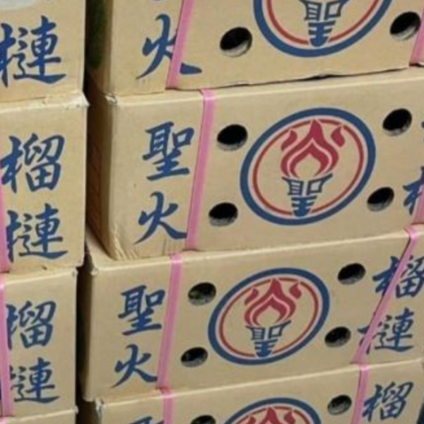 加重版【聖火】金枕頭榴槤 