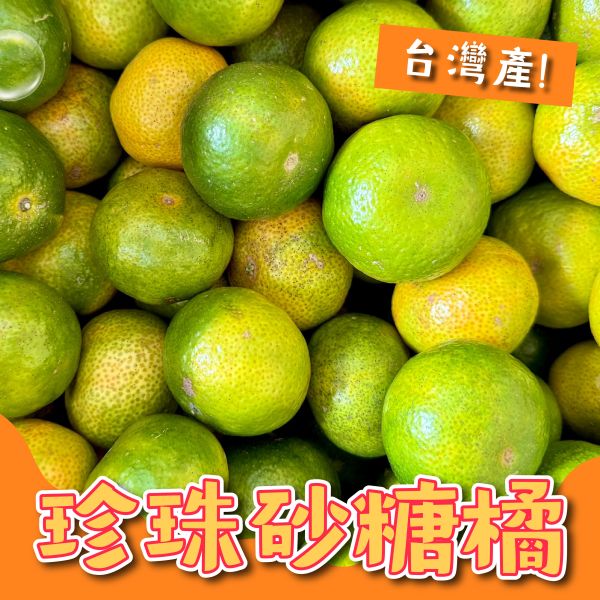 【南投中寮】珍珠砂糖橘 