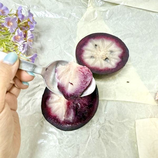 <少量零購>國產牛奶果 