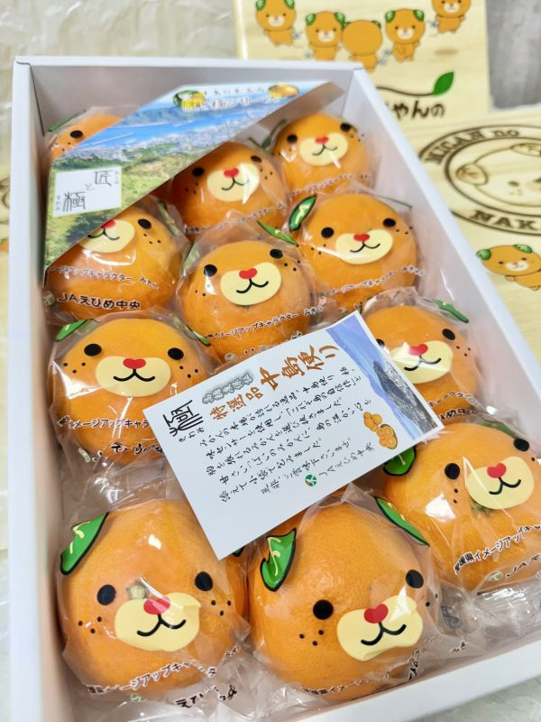 <當日配送>【限量特價】愛媛卡通蜜柑禮盒 
