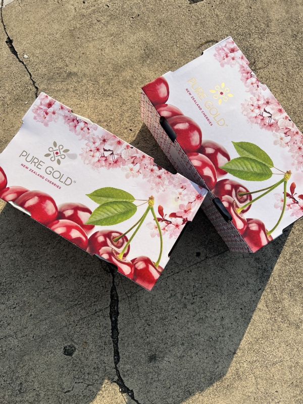 <破盤價>紐西蘭櫻花櫻桃【30mm+】 