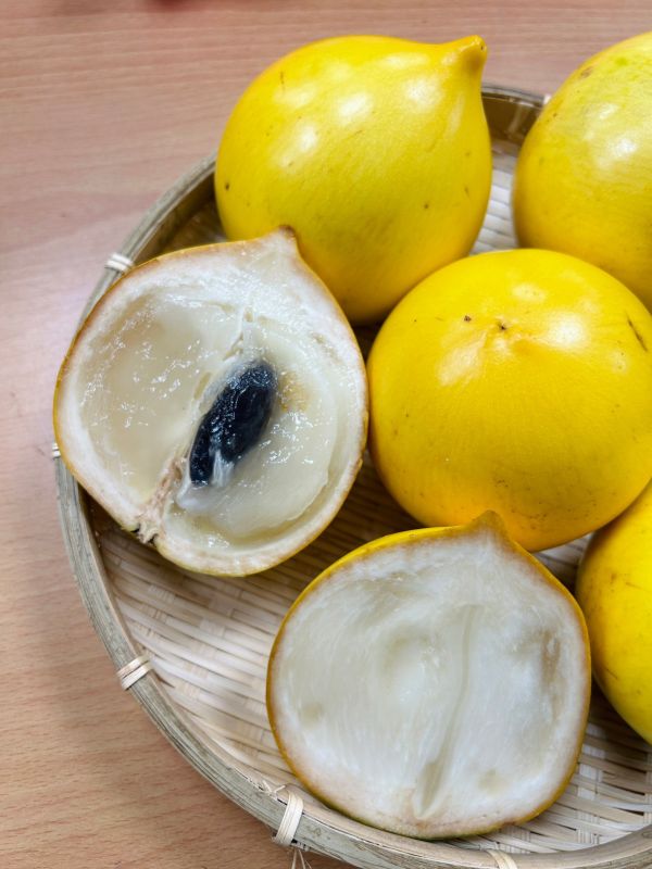 <少量零購>膠原蛋白黃金果(優惠中) 