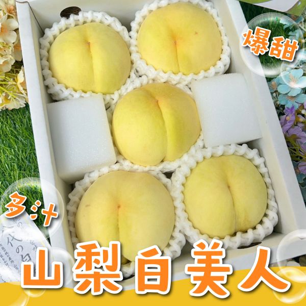 《限量》山梨溫室白美人 