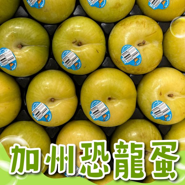 加州蜜李恐龍蛋 
