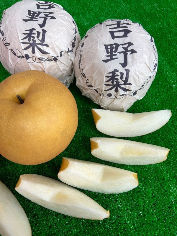 <少量零購>熊本吉野梨 