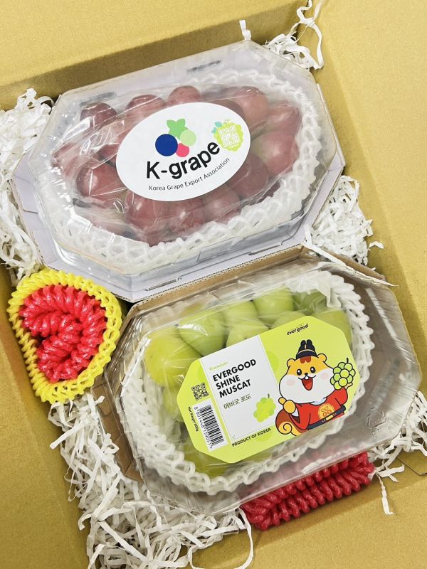 韓國紅麝香葡萄 