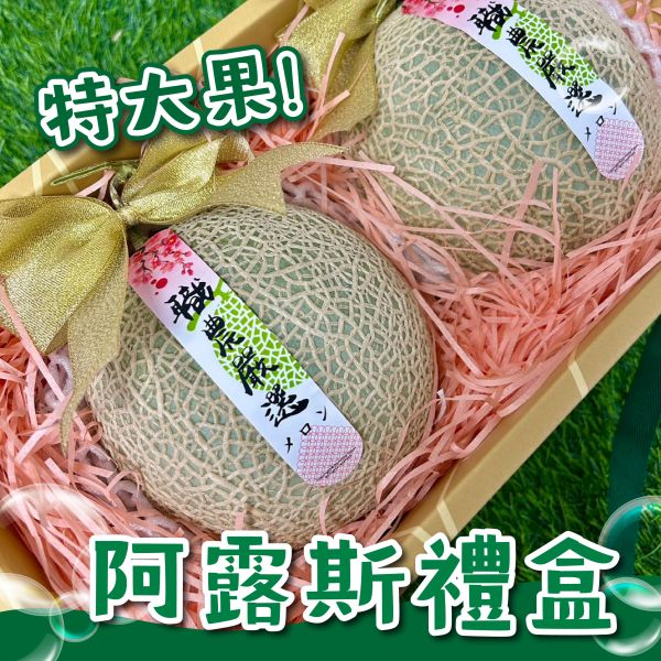<精緻禮盒>S020阿露斯禮盒 