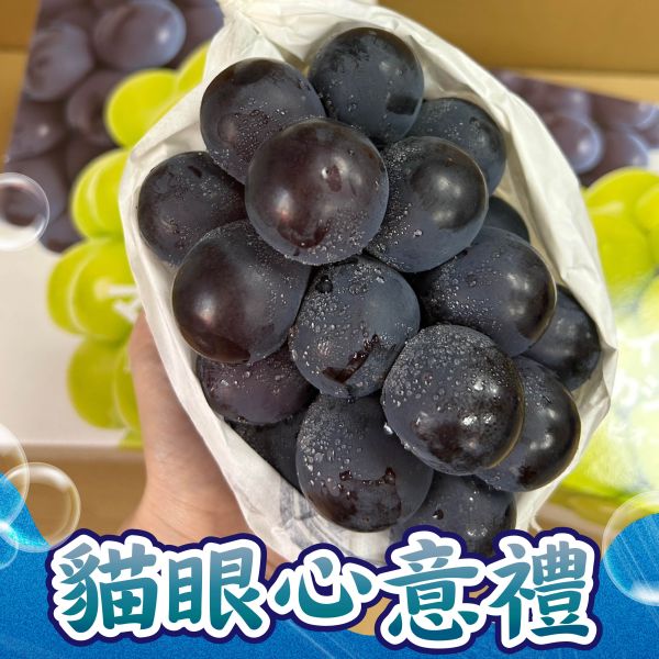 <中秋熱銷>日本貓眼心意禮 