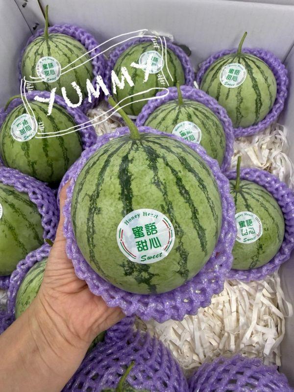 <少量零購>掌心西瓜 