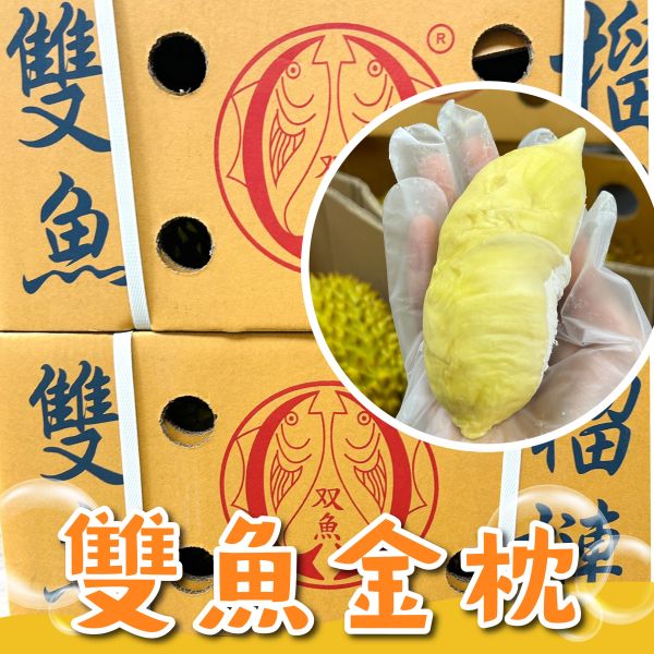 【正宗雙魚】金枕頭榴槤 