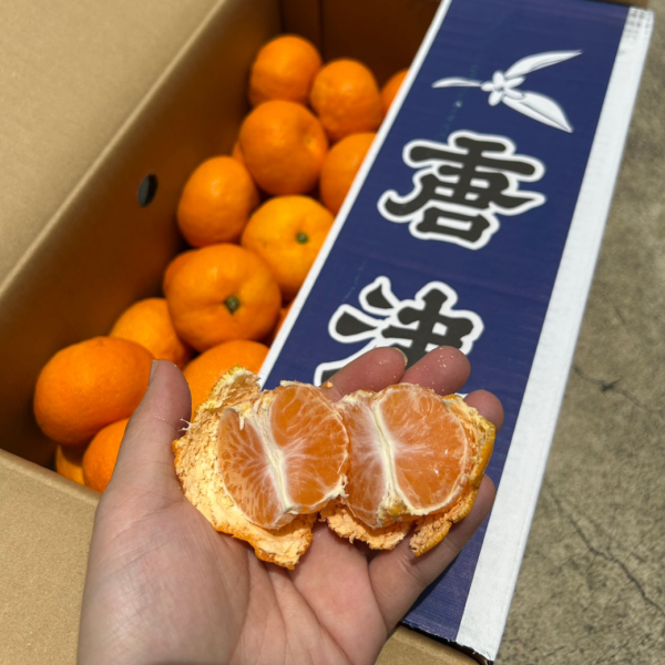 日本唐津大蜜柑 