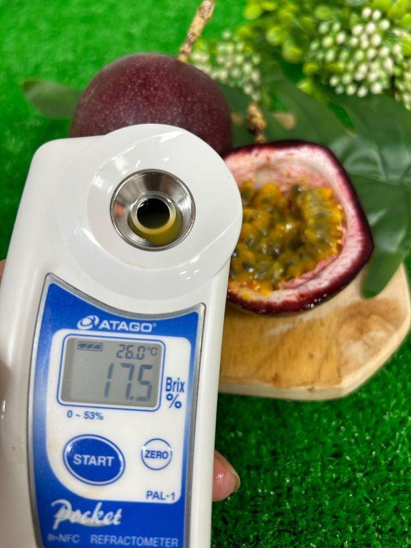 <少量零購>糖蜜百香果 