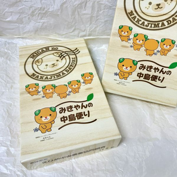 <當日配送>【限量特價】愛媛卡通蜜柑禮盒 