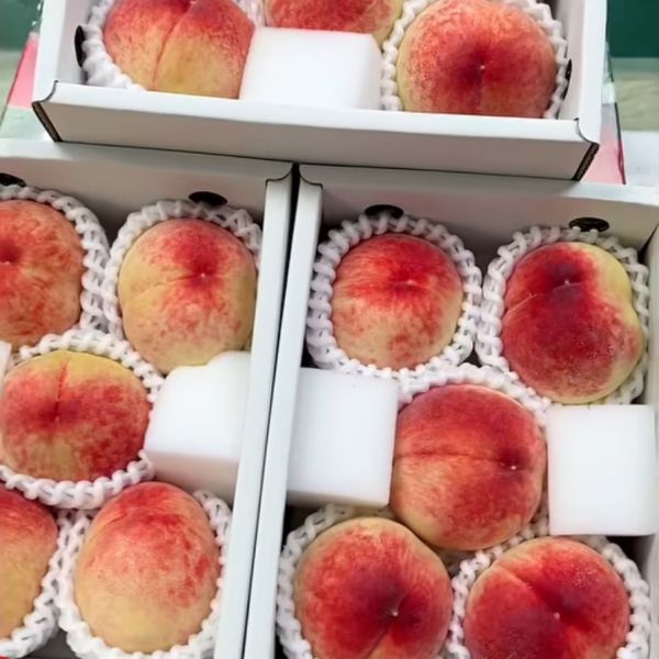 【搶鮮】日本山梨溫室白鳳桃 