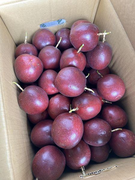 <少量零購>糖蜜百香果 