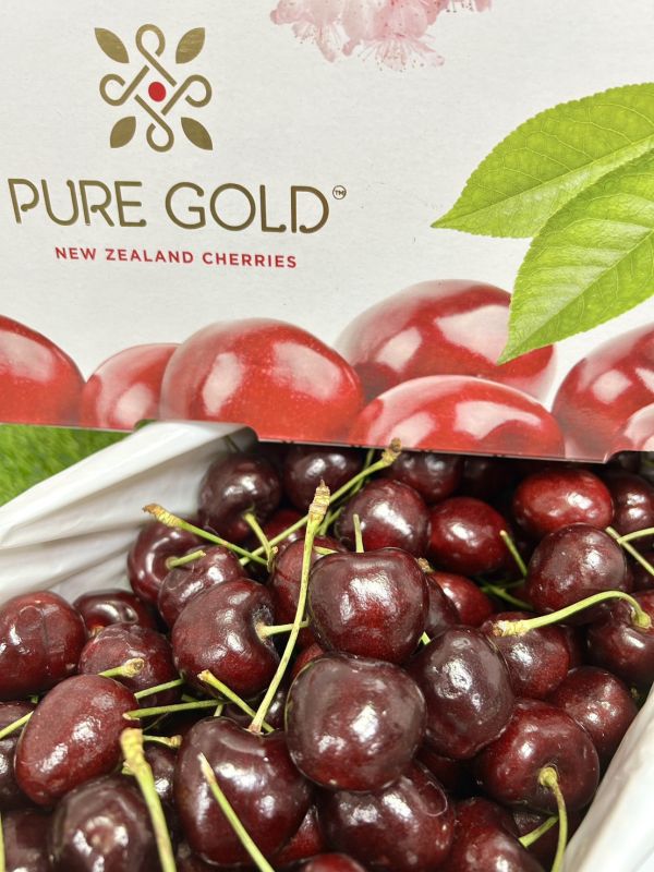 <破盤價>紐西蘭櫻花櫻桃【30mm+】 