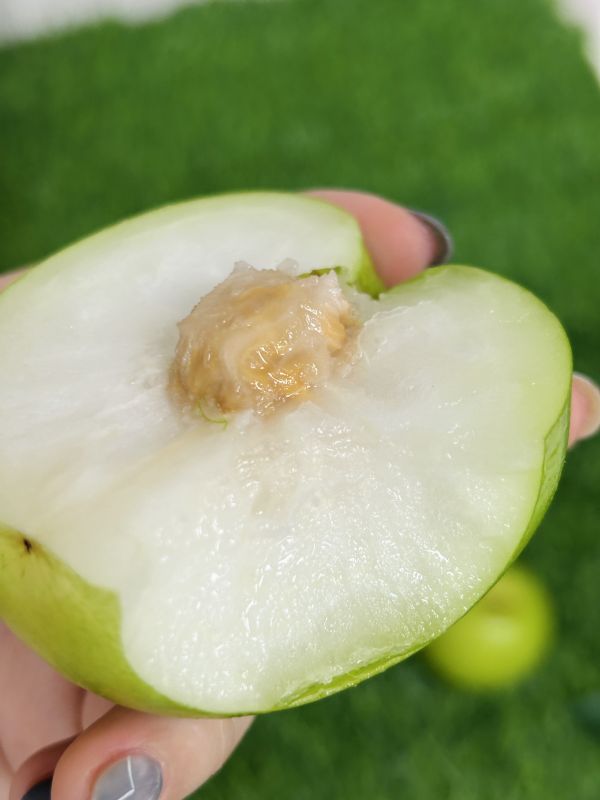 <精緻禮盒>S027棗想團圓手提禮 