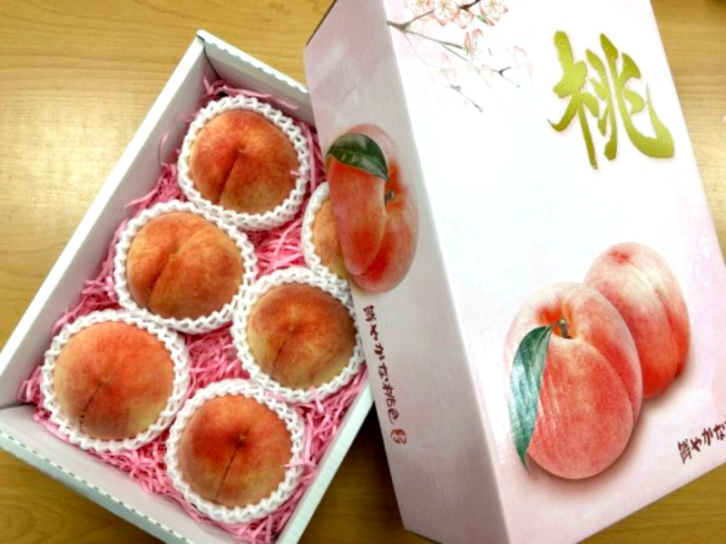 日本和歌山水蜜桃 