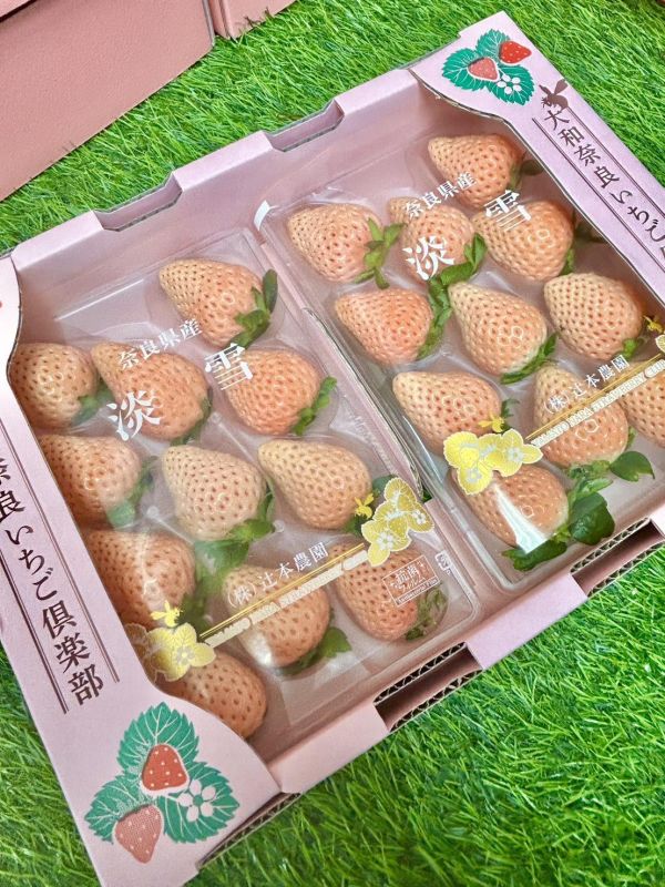 日本奈良淡雪草莓 