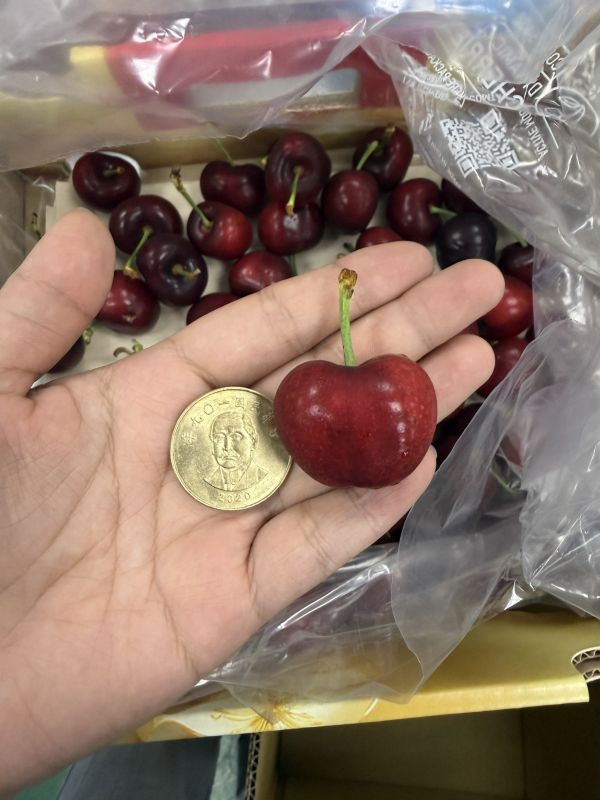 【原裝賣場】智利黑櫻桃32MM 