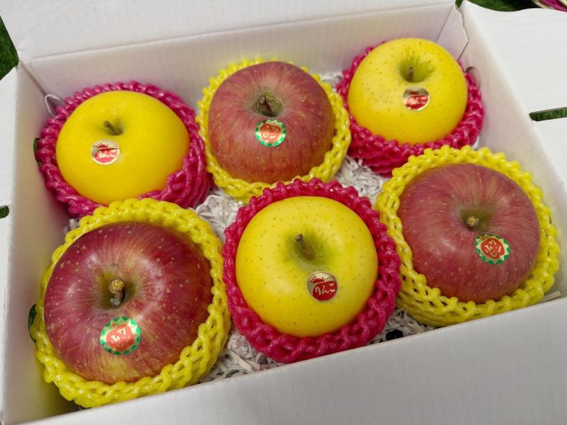 日本青森蘋果紅黃雙拼 