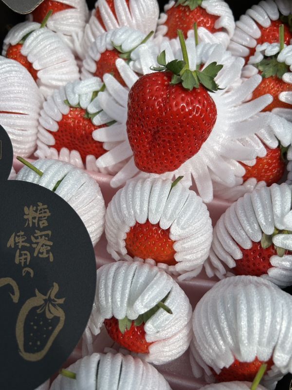 日本黑盒菊池糖蜜草莓 