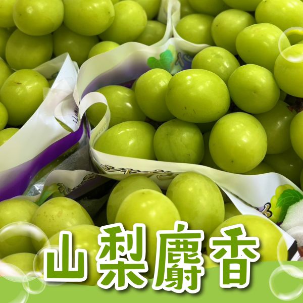 日本山梨麝香 