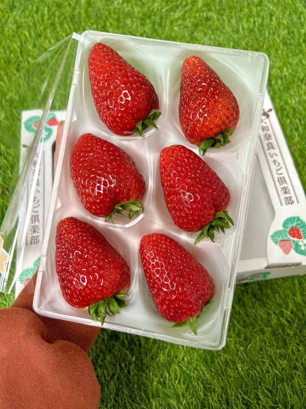 <少量零購>古都華草莓(8玉) 