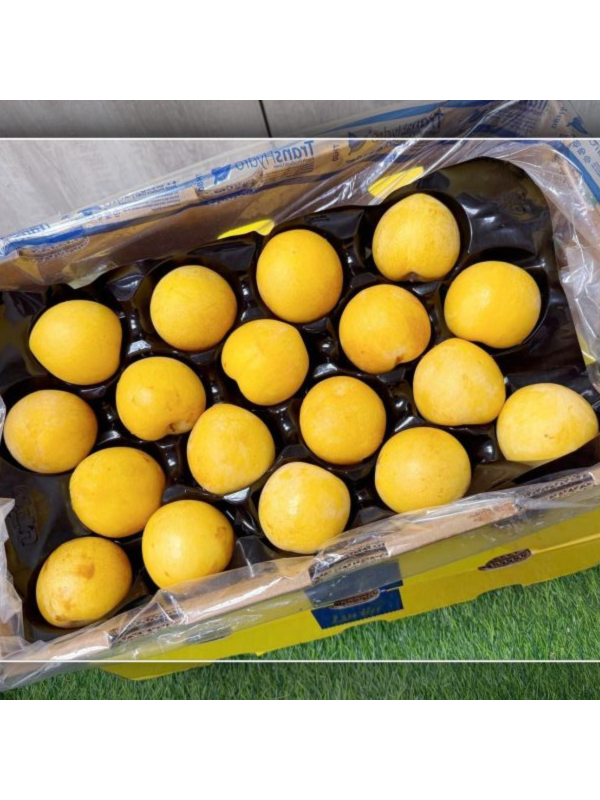 <少量零購>智利黃金李 