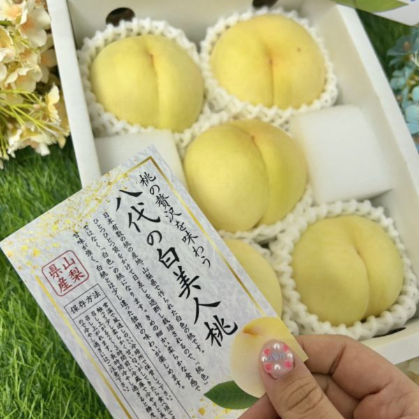 《限量》山梨溫室白美人 