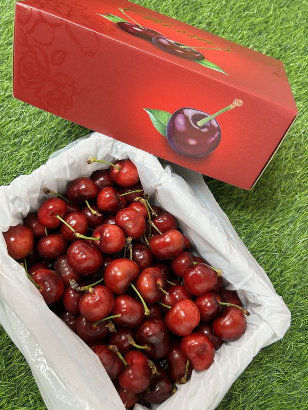 【限定組合】櫻桃x草莓組 