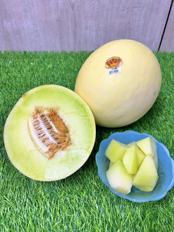 <當日配送>美國皇冠蜜糖哈蜜瓜 