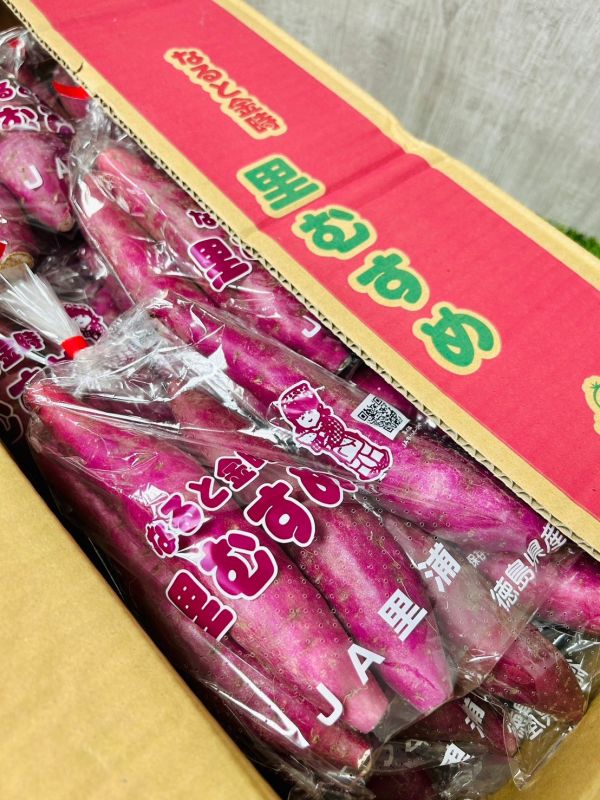 日本德島栗子地瓜 