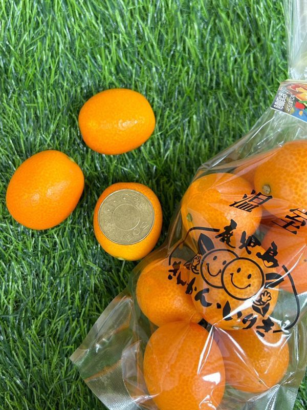 <少量零購>日本鹿兒島金桔 