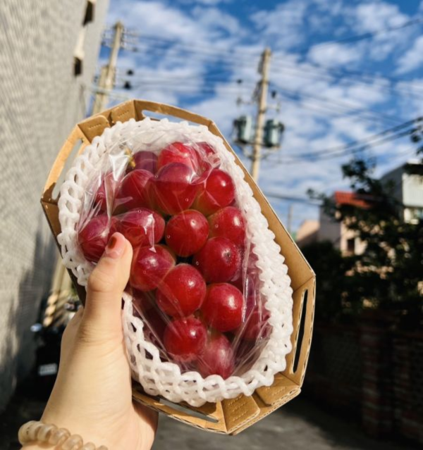 韓國紅麝香葡萄 