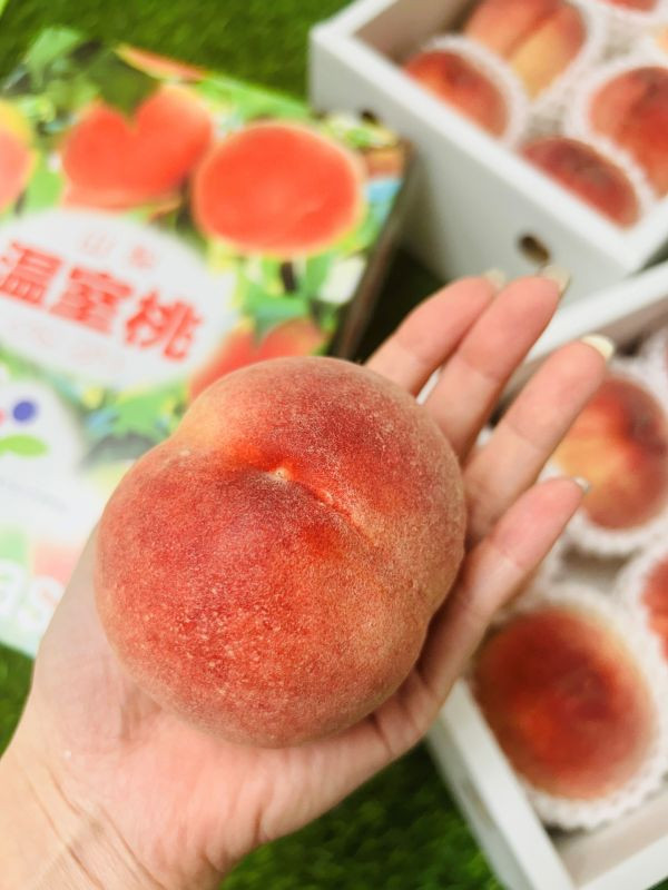 <少量零購>日本山梨溫室白鳳桃 