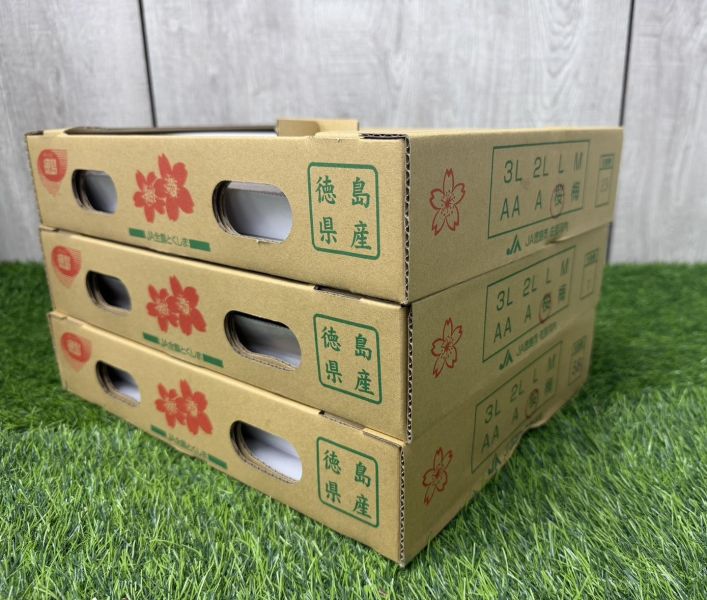 德島櫻桃草莓禮盒 