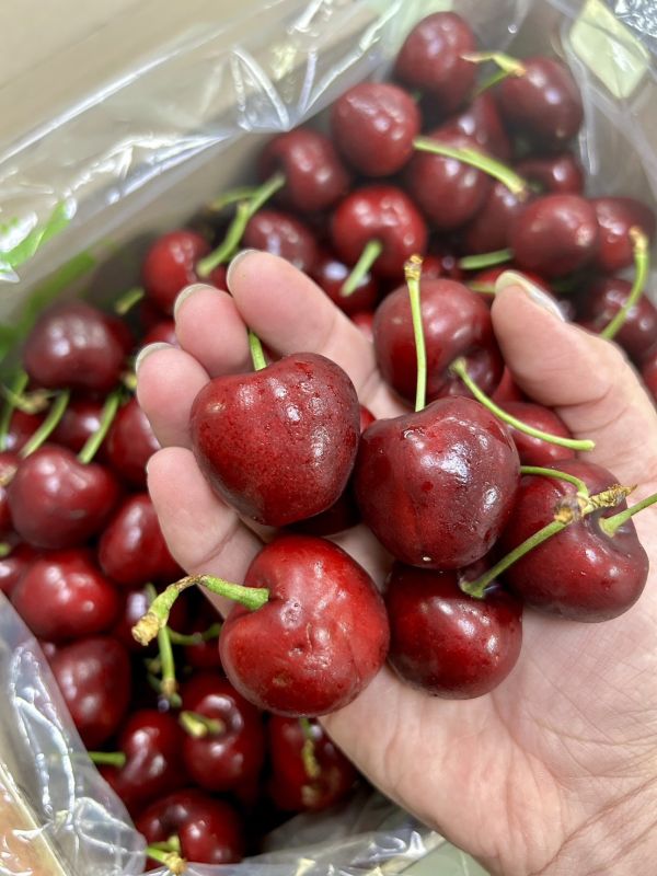 【原裝賣場】智利黑櫻桃30MM 