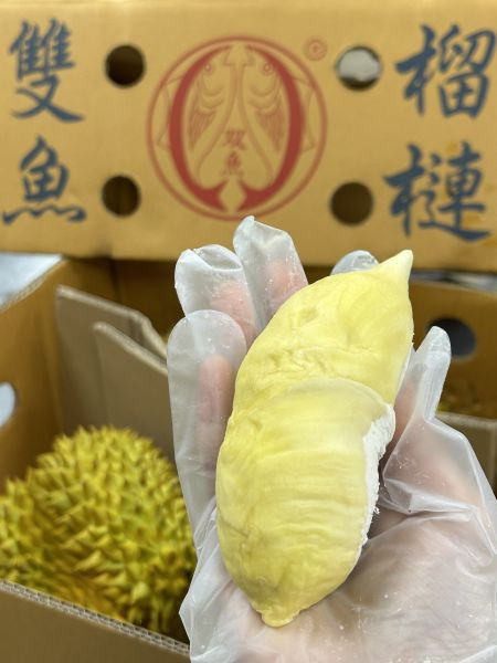 【雙魚牌】金枕頭榴槤 