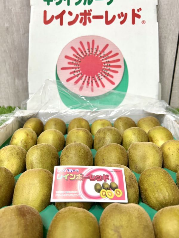 日本靜岡紅心奇異果 