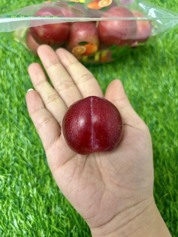 <少量零購>智利櫻桃李 