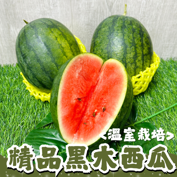 黑木紅肉西瓜 