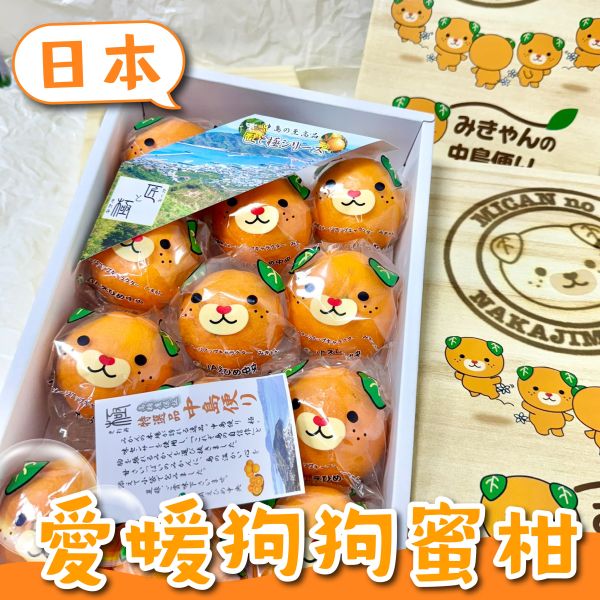 <精緻禮盒>S033日本愛媛卡通蜜柑禮盒 