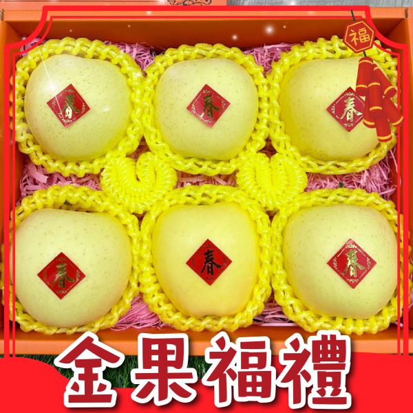 <年節禮盒>H003金果福禮 