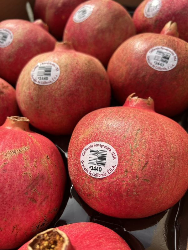 <少量零購>美國紅石榴 