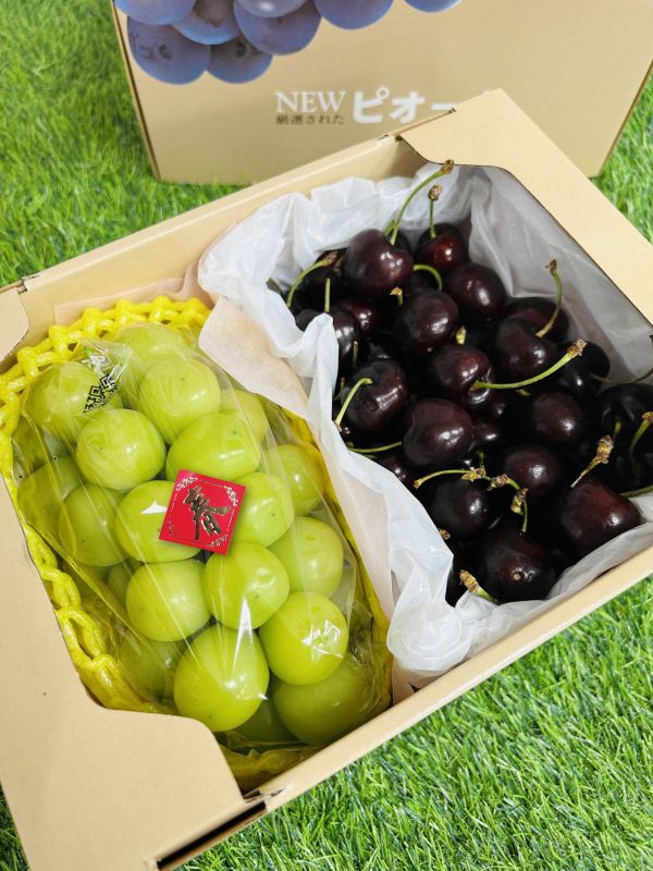 <年節禮盒>S017韓國麝香櫻桃禮盒 