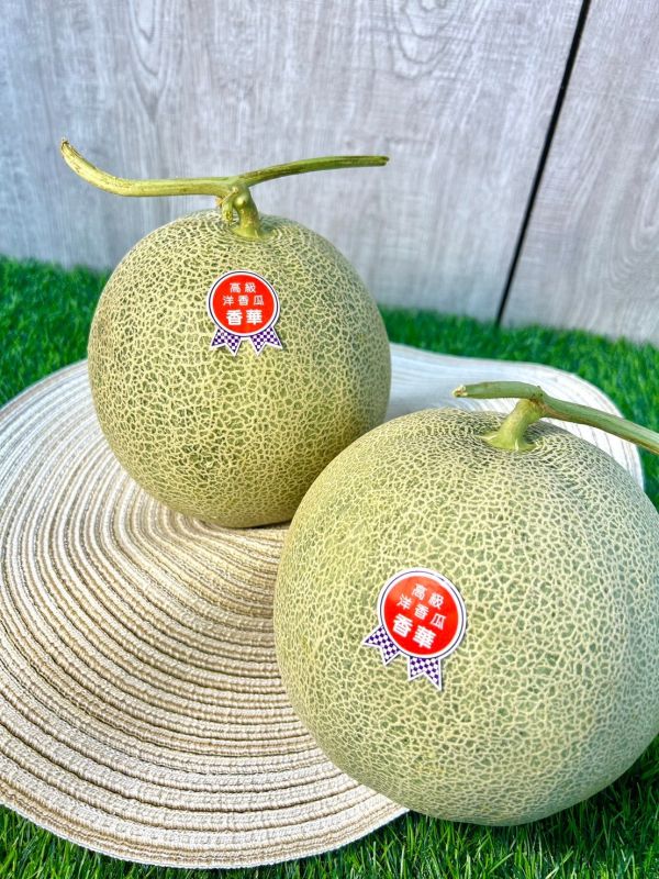 香華高級哈密瓜 