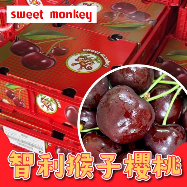 【30mm】智利<猴子櫻桃> 