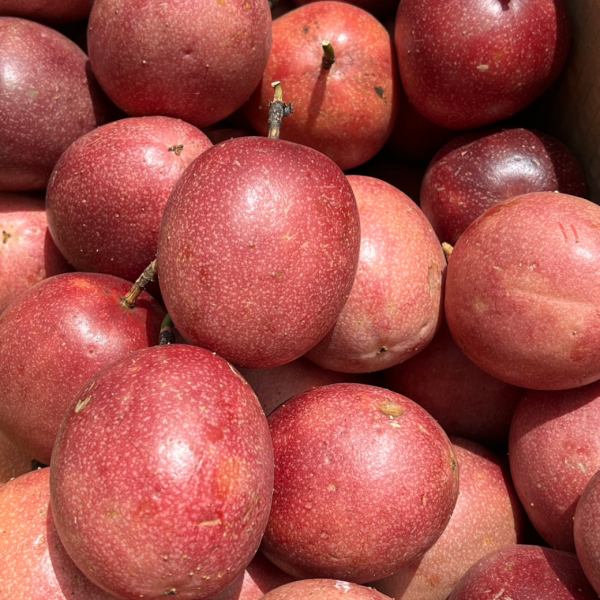 <當日配送>【特殊稀有】頂級紫尊百香果 