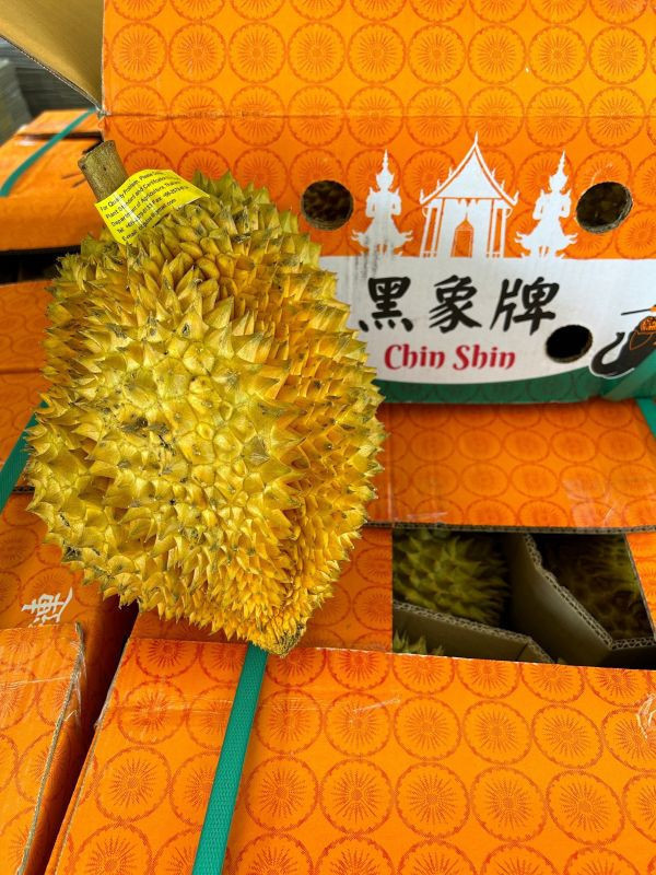 泰國黑象牌榴槤 